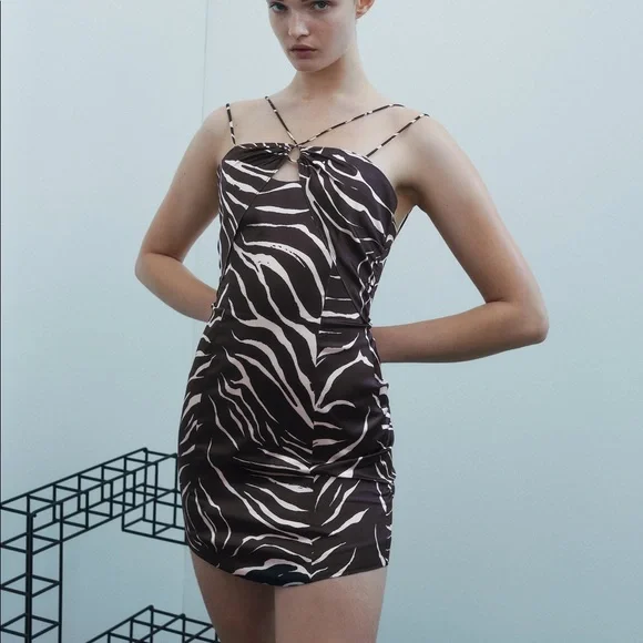 blue leopard print dress zara Zara Leopard Print Dress  SB Dress Hire